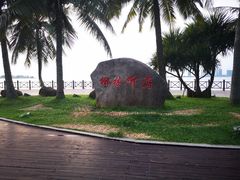 -万绿园