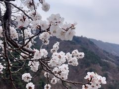 -慕田峪长城
