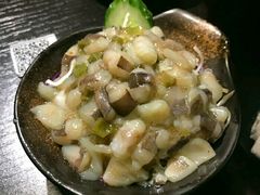 -春草居酒屋·晴子の店