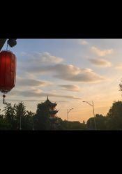点击看大图 -爱弥儿月子中心(省医院店)