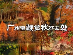-广州市帽峰山景区