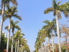 -厦门大学(思明校区)