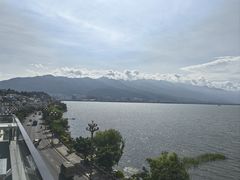 -野菌皇海景野生菌火锅(滨海大道店)