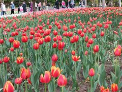 -长春公园(普阳街道)