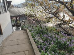 -桃源山庄·水蜜桃采摘·柴火鸡·烧烤团建(龙泉山店)