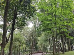 -云溪植物园