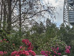 -深圳国际园林花卉博览园