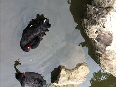 昆明动物园-昆明动物园