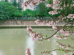 -红星桥(地铁站)