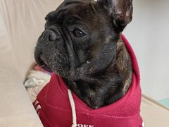 -怪兽屋·羊驼·猫咖·狗咖(俊华广场店)