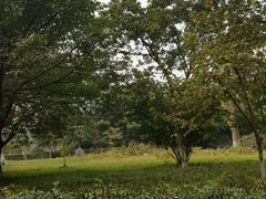 -沙河三洞古桥公园