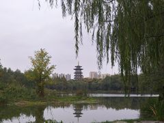 -洋湖国家湿地公园