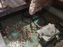 -水晶之星洗浴温泉汗蒸