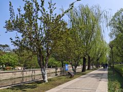 -元大都城垣遗址公园