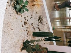 -OUR Bakery(SKP-S店)