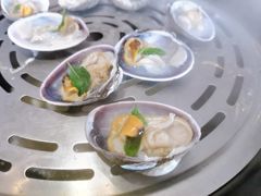 -青蓬蒸汽海鲜·深圳老字号·团建聚会(壹方城店)