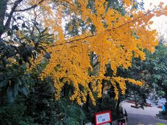 -成都市活水公园