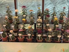 -小榄人家酒楼(民安店)