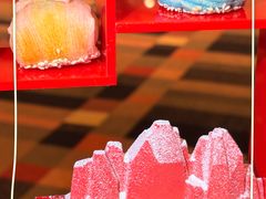 -上海大宁福朋喜来登酒店大堂吧(共和新路店)