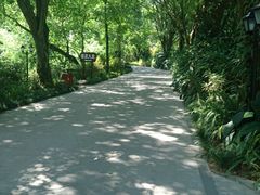 -龙山酒店温泉
