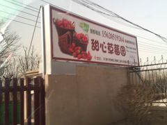 -甜心庄园·甜心草莓采摘园(西青中北店)