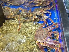 -盒马鲜生(昆城店)