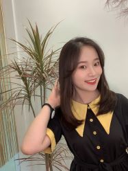 -YESIDO椰岛造型