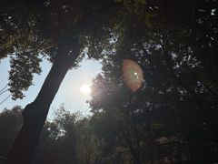 -武汉长江大桥