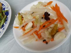 -北京白桦林彭兴全农家院