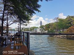 -陈鹏鹏潮汕菜(欢乐海岸 海边景观店)