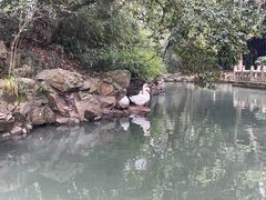 -兰亭风景区