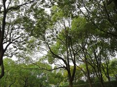 -新江湾城公园