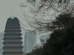 -金龙咖喱