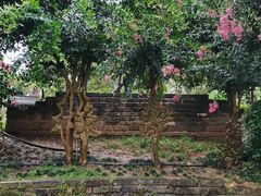 -武汉紫薇都市田园