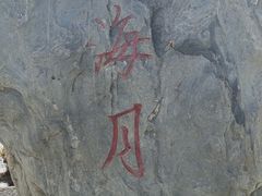 -洱海月湿地公园
