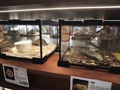 -帕帕拉兹宠物(亚洲旗舰店)