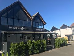 -Strawberry Fare