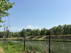 -洨河生态公园