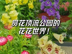 -中山公园