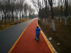 -大兴滨河森林公园