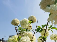 -大龙山(地铁站)