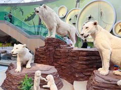 -陕西自然博物馆