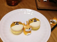 -柴务处·柴犬主题狗咖