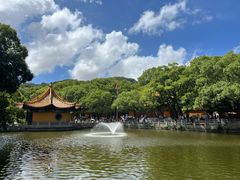 -普陀山慧济禅寺