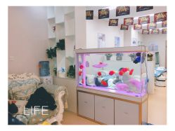 -痘庄科学祛痘国际连锁机构