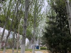 -北极寺公园
