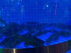 -蛙一刀·麻椒鱼火锅(金仙桥店)