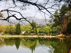 -韶山毛泽东同志故居