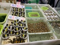 -南沙十九涌渔人码头-南门