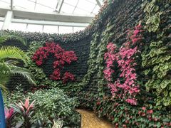 -石家庄市植物园